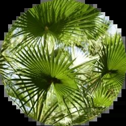 Poland - urovico opinie