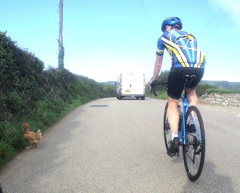 Spain - jugar chicken road Spain - jugar chicken road