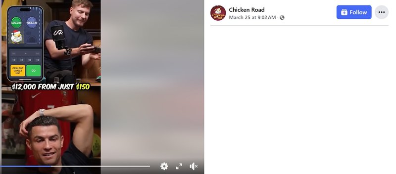 A look at chicken road oficial
